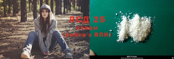 стафф Аркадак